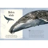 An Anthology of Intriguing Animals
