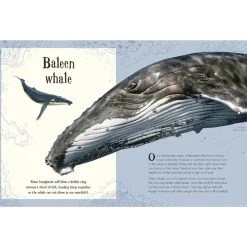 An Anthology of Intriguing Animals