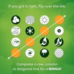 Animals Around the World Bingo