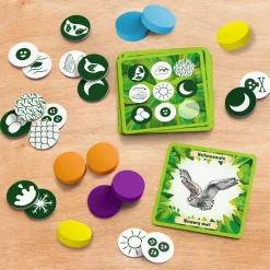 Animals Around the World Bingo