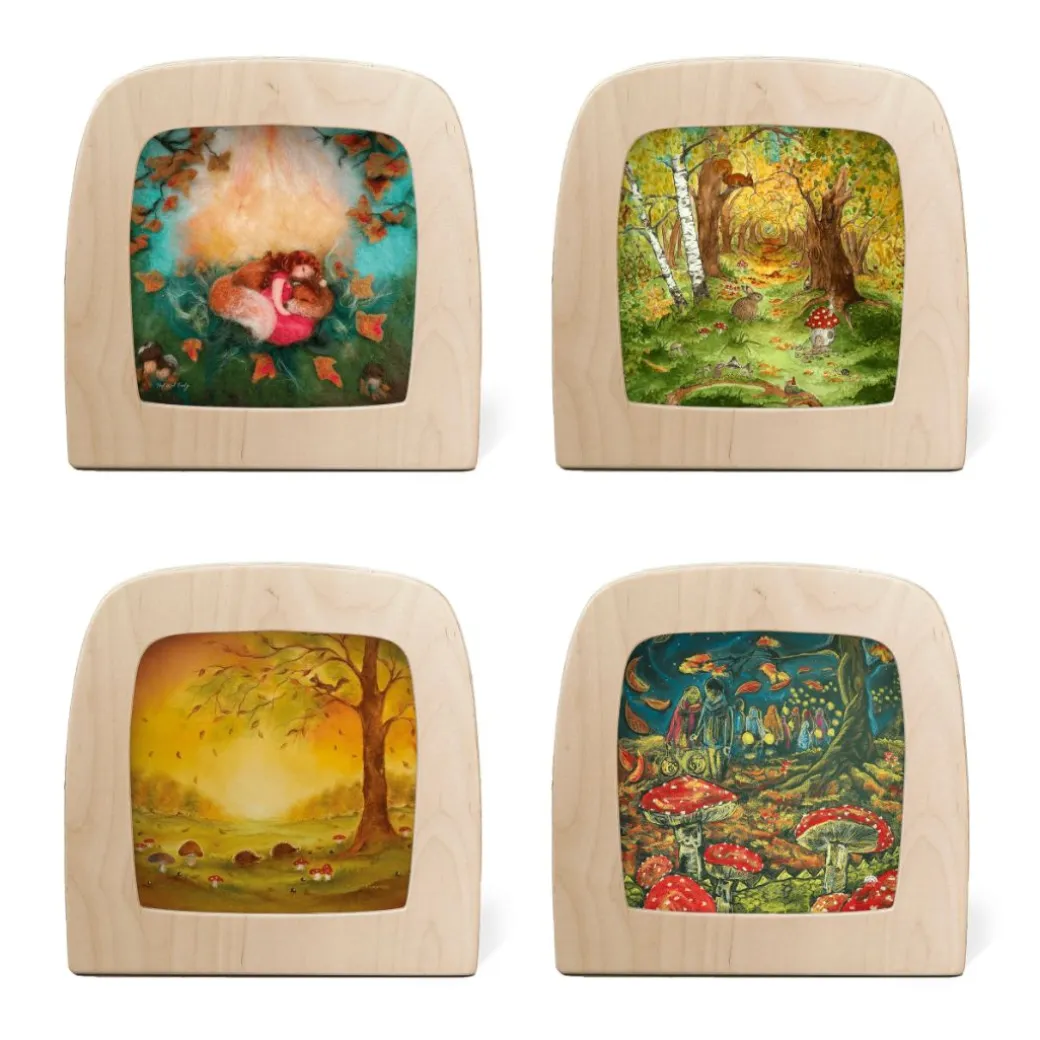 Autumn Transparency Collection