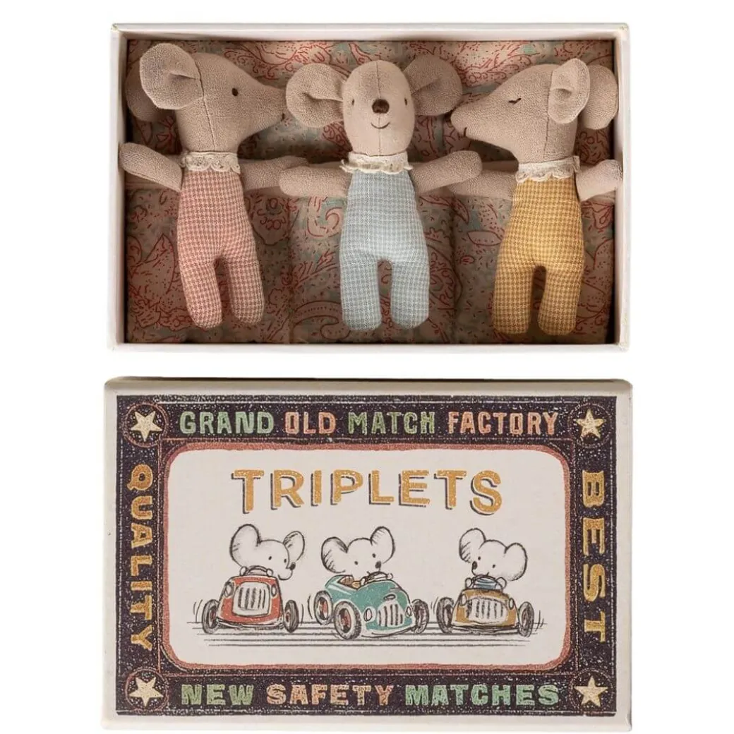 Baby Mice Triplets in a Matchbox