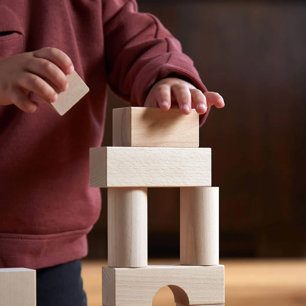 Basic Building Blocks - Large Starter Set