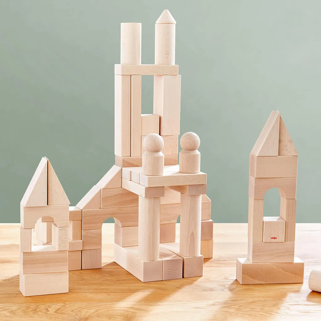 Basic Building Blocks - Large Starter Set