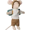 Big Brother Hiker Mouse