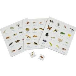 Bug Bingo Family Game