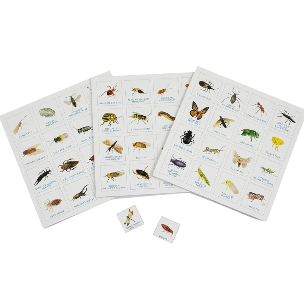 Bug Bingo Family Game