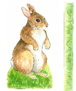 Bunny Rabbit Paper Doll Kit