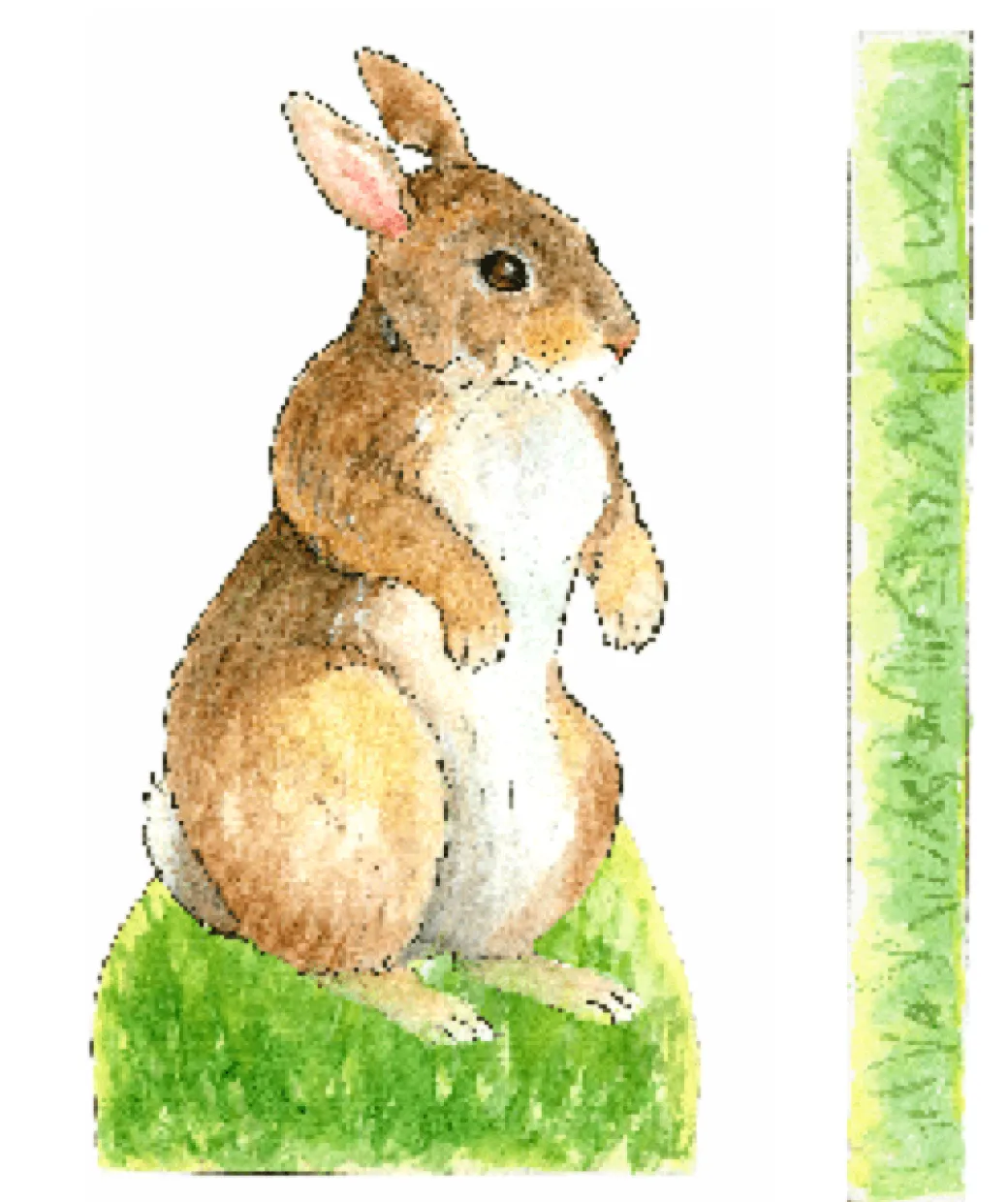 Bunny Rabbit Paper Doll Kit