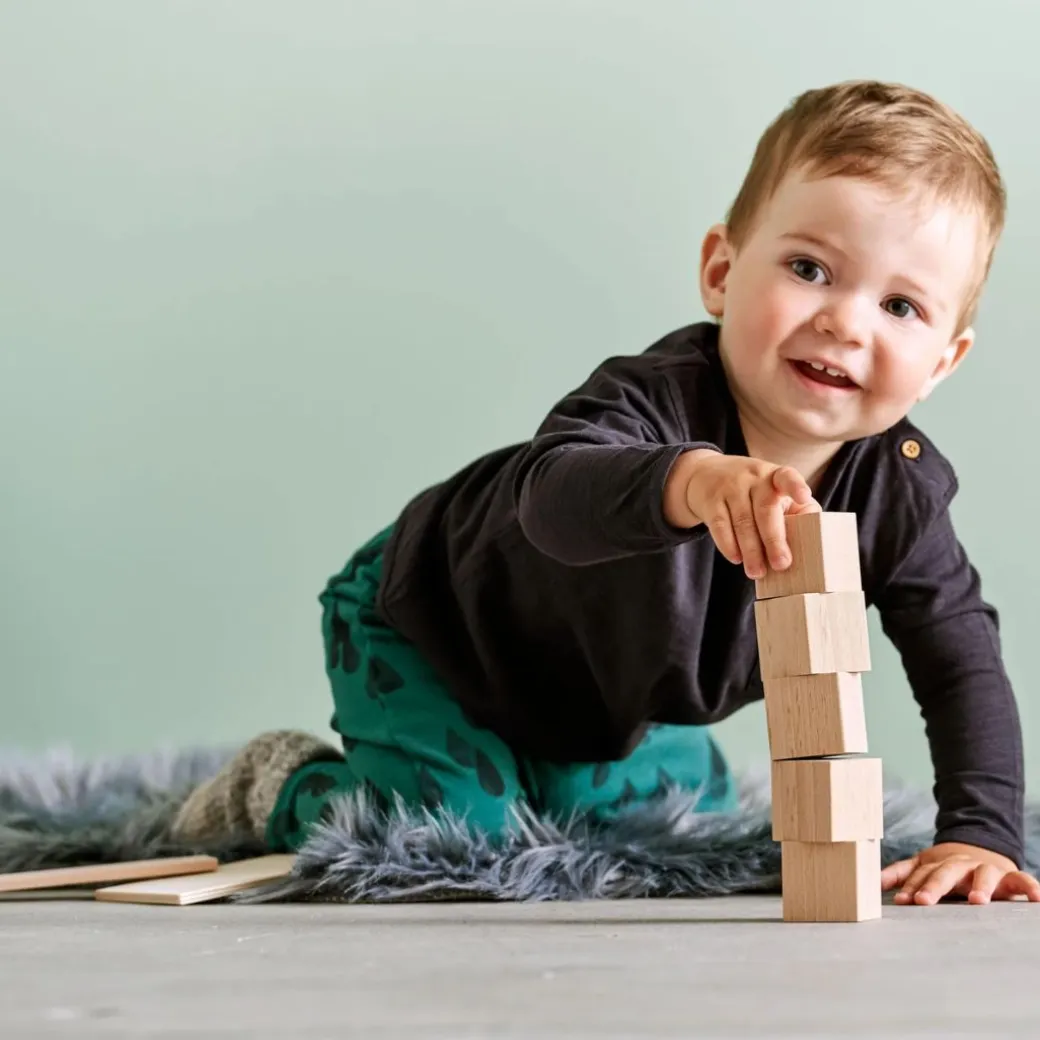 Clever Up! Unit Wooden Block Building System 1.0