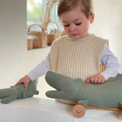 Crocodile Pull-Along Toy