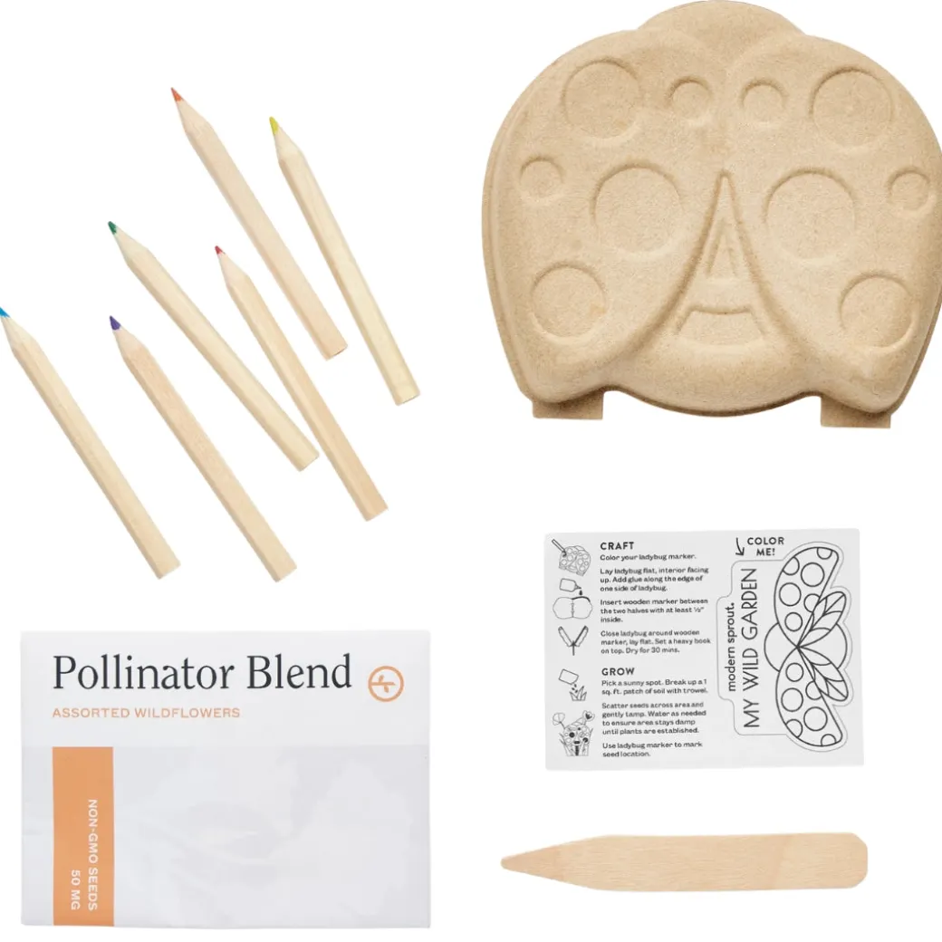 Curious Critter Ladybug Garden Kit