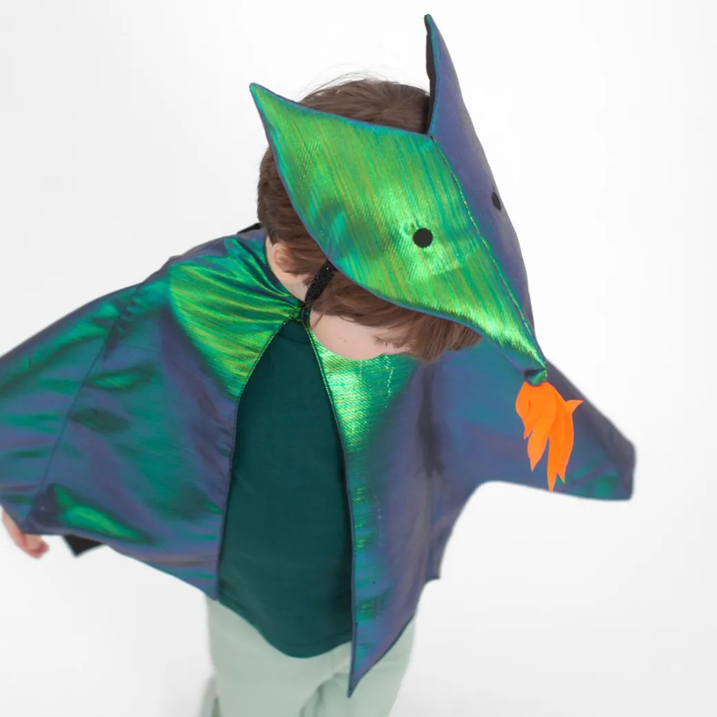 Dragon Costume