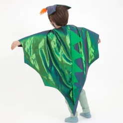Dragon Costume