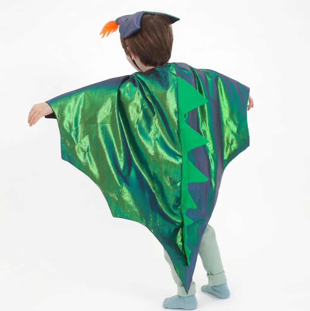 Dragon Costume
