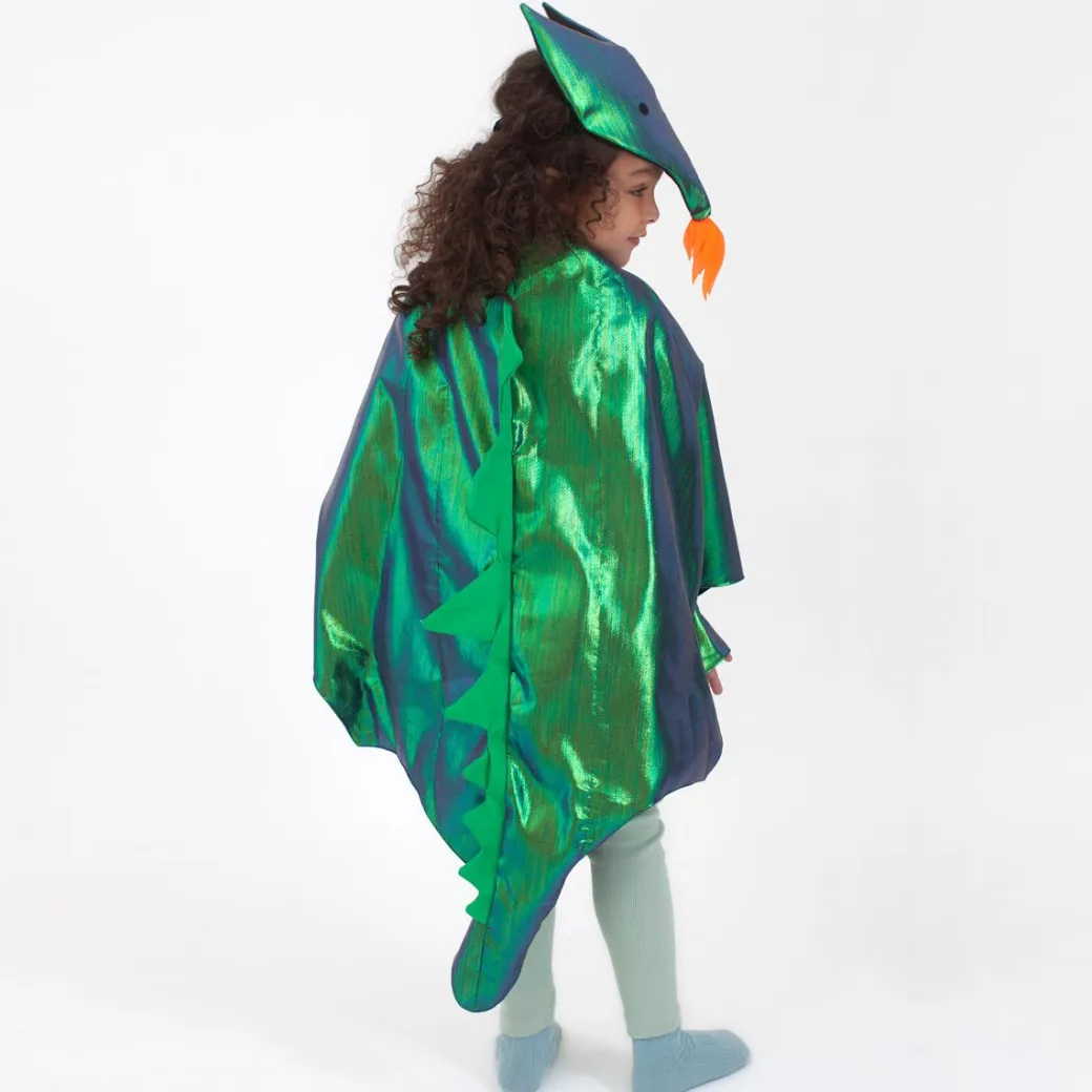 Dragon Costume