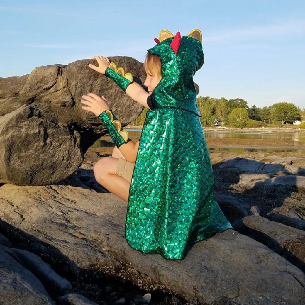 Dragon & Knight Reversible Costume