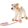 Eliot the Dog Pull-Along Toy