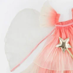Fancy Fairy Costume