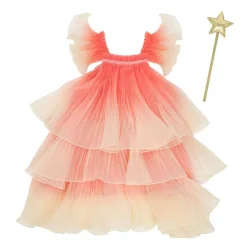 Fancy Fairy Costume