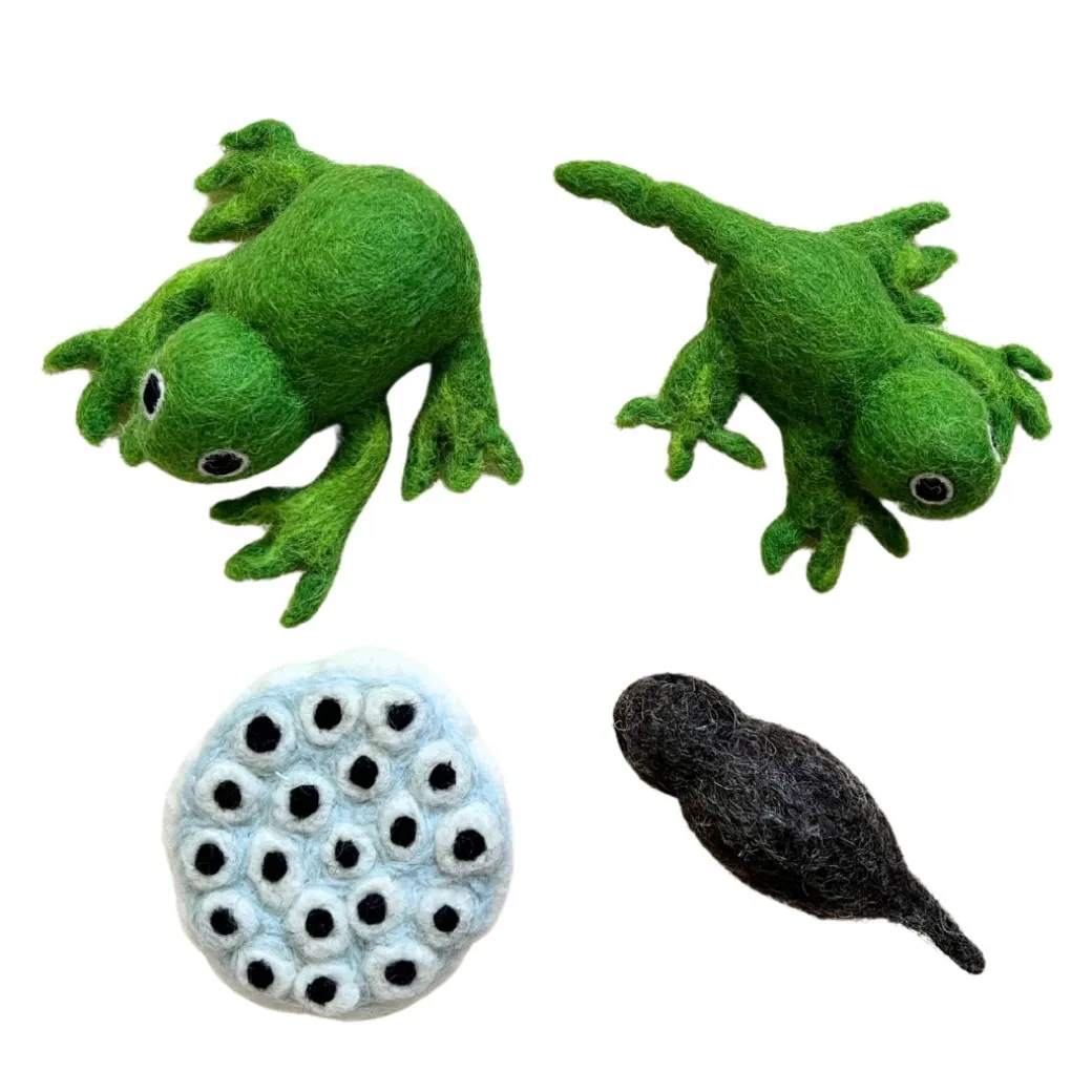 Felt Lifecycle of a Frog Set
