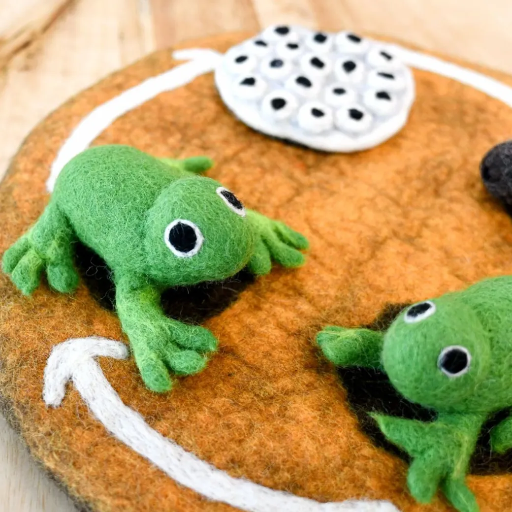 Felt Lifecycle of a Frog Set