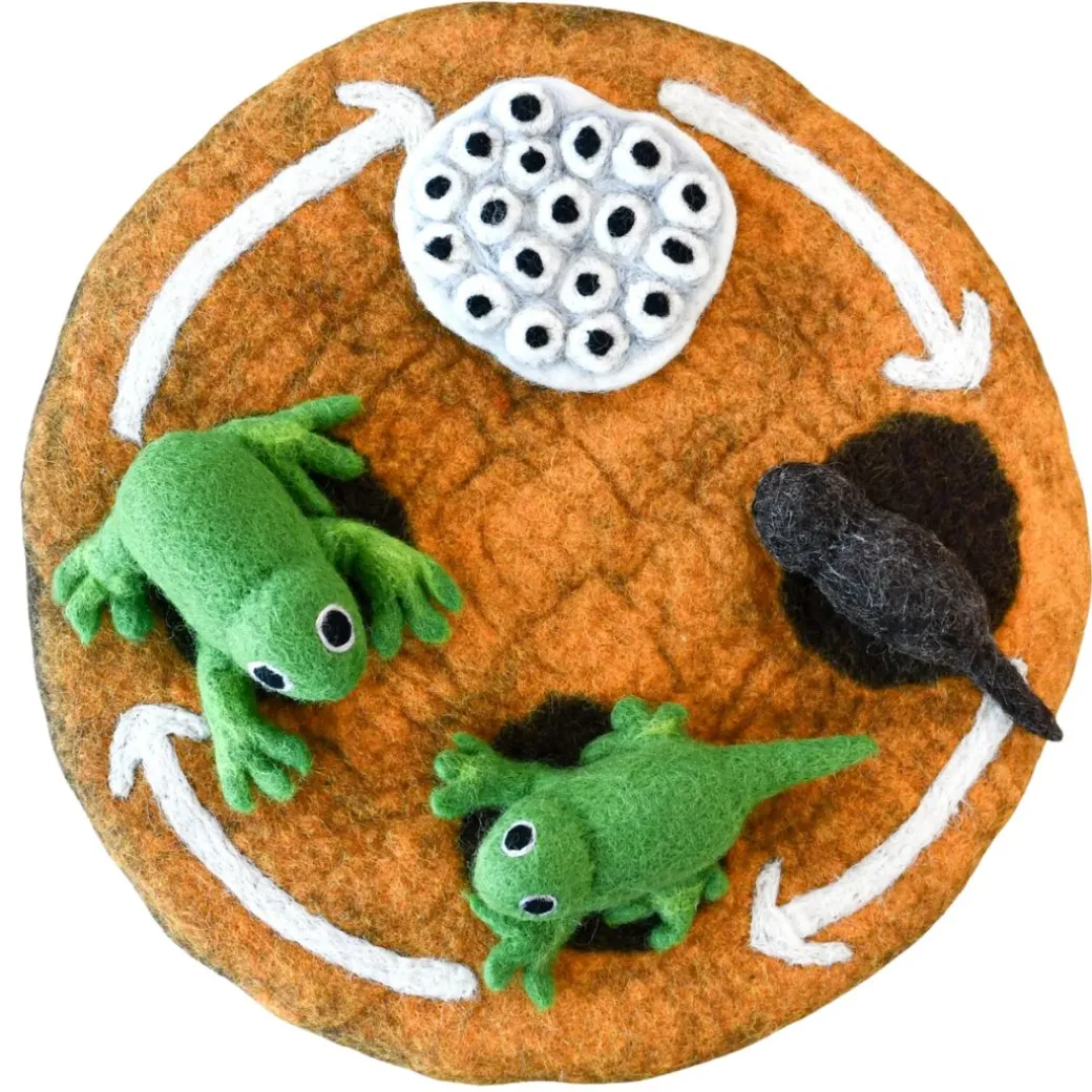 Felt Lifecycle of a Frog Set