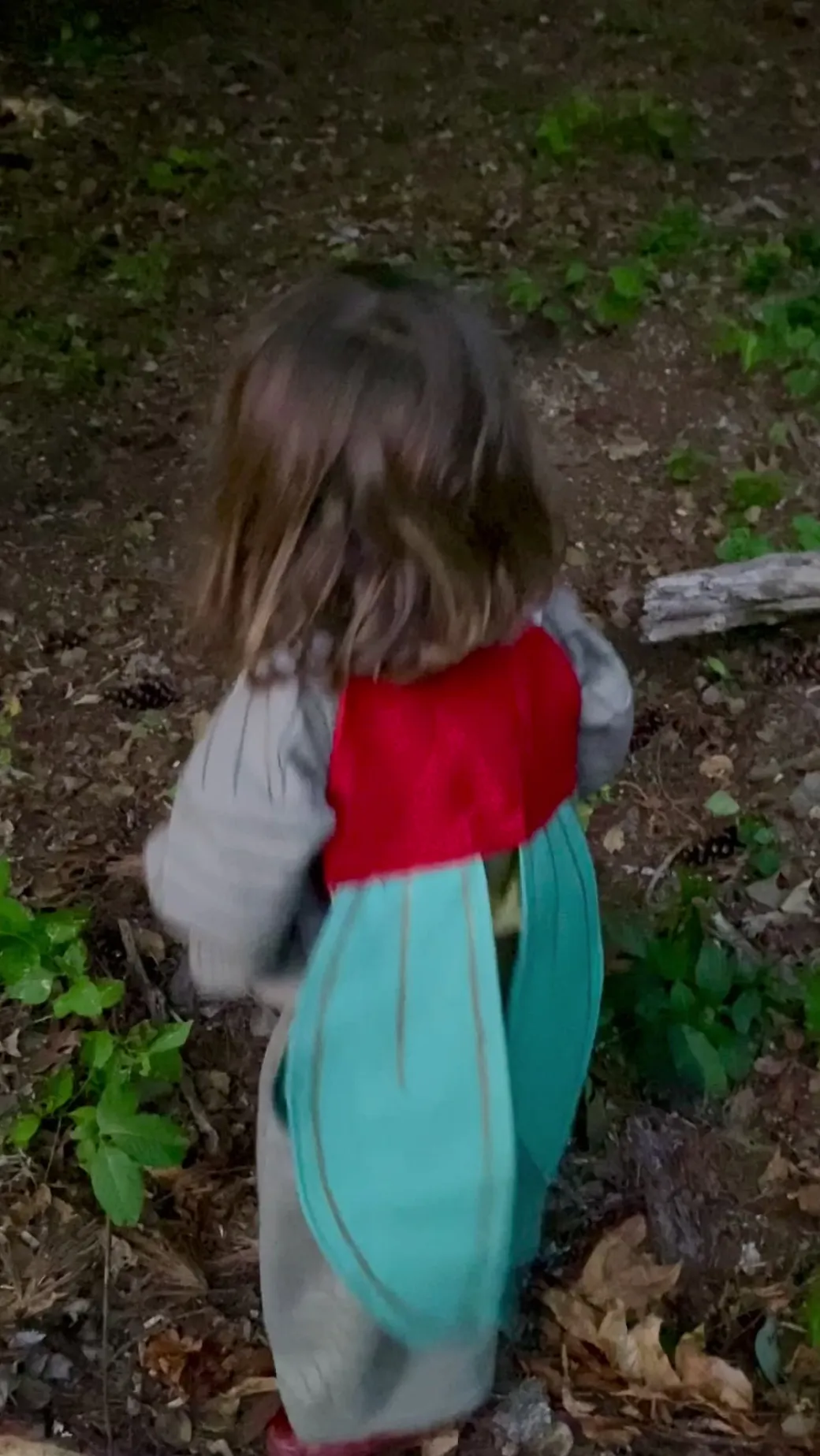 Firefly Costume