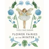 Flower Fairies of the Winter by Cicely Mary Barker