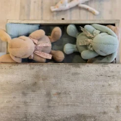 Fluffy Plush Bunny