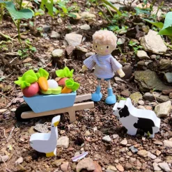 Greenhouse and Garden Set