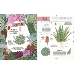 Grow: Family Guide to Plants and How To Grow Them
