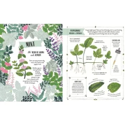 Grow: Family Guide to Plants and How To Grow Them