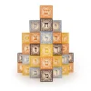 Hebrew Wooden Alphabet Blocks