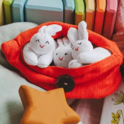 Hide-and-Seek Bunnies in Carrot Pouch