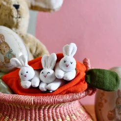 Hide-and-Seek Bunnies in Carrot Pouch