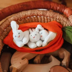 Hide-and-Seek Bunnies in Carrot Pouch