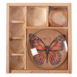 Huckleberry Bug Box
