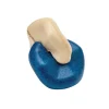 Interlocking Rings Baby Toy