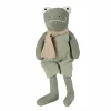 Jeremy the Frog