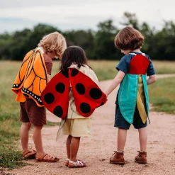 Ladybug Wings Costume