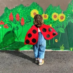 Ladybug Wings Costume