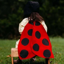 Ladybug Wings Costume