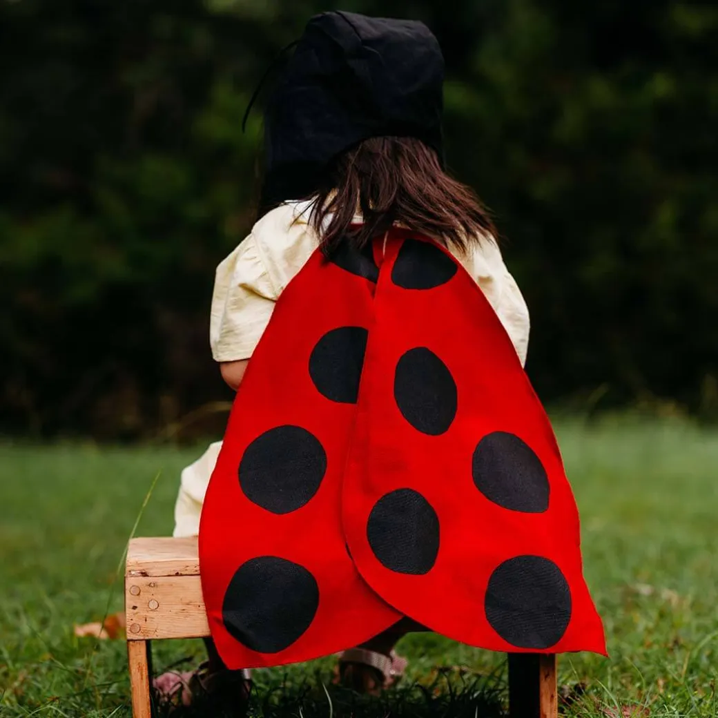 Ladybug Wings Costume