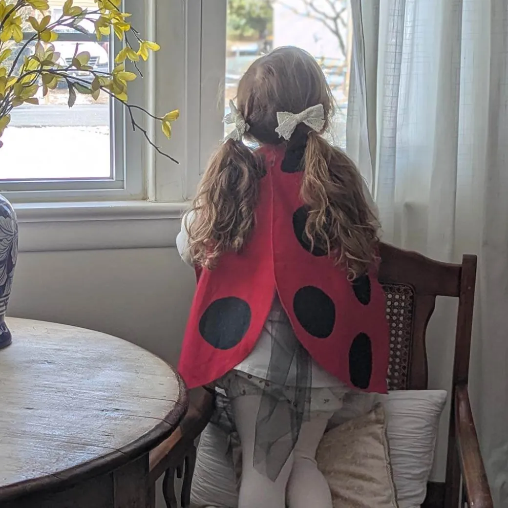 Ladybug Wings Costume