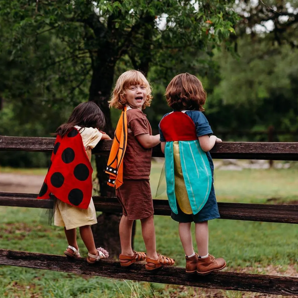 Ladybug Wings Costume