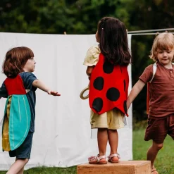 Ladybug Wings Costume