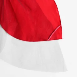 Ladybug Wings Costume