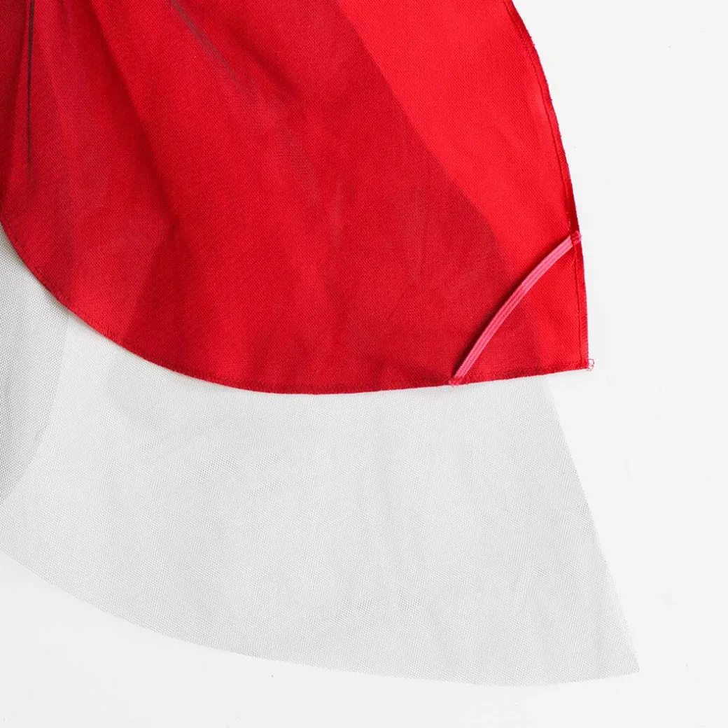 Ladybug Wings Costume