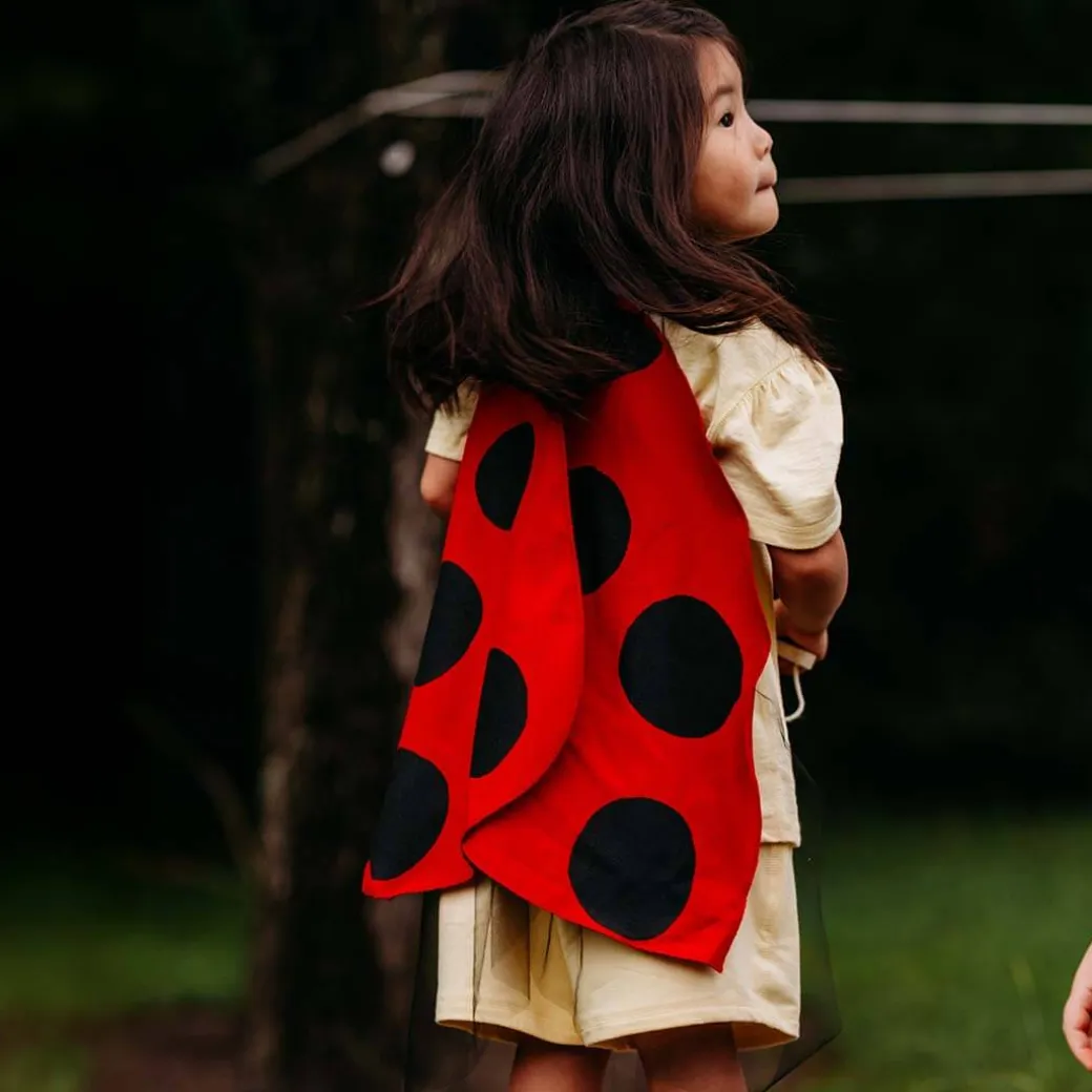 Ladybug Wings Costume